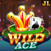 Arion Pay Wild Ace